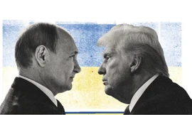 Phép cân não của Tổng thống Nga Putin khi đến Alaska