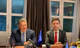 EU muốn thúc đẩy thực thi Hiệp định Thương mại tự do với Việt Nam 