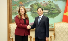 Liên Hợp Quốc đánh giá cao sáng kiến của Việt Nam về trung tâm đào tạo chống tội phạm mạng