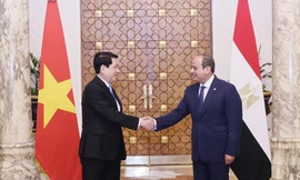 Việt Nam và Ai Cập nâng cấp quan hệ lên Đối tác toàn diện