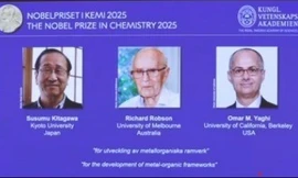 Giải Nobel Hóa học 2025 thuộc về 3 người tạo ra khung kim loại hữu cơ