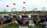 Ngư dân Hải Phòng 'nói không' với khai thác hải sản bất hợp pháp