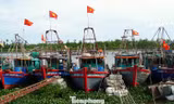 Ngư dân Hải Phòng 'nói không' với khai thác hải sản bất hợp pháp