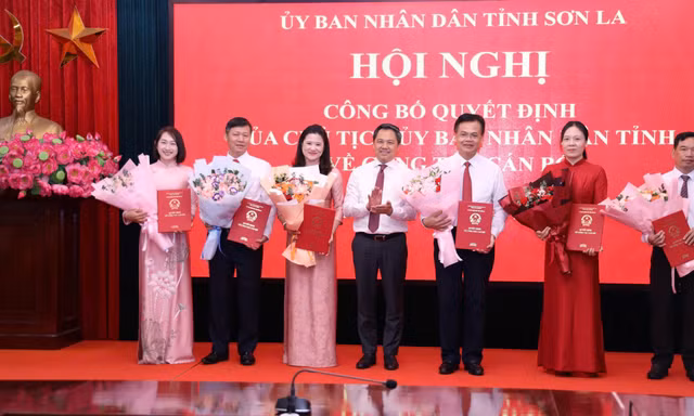 Công bố các quyết định của Chủ tịch UBND tỉnh Sơn La về công tác cán bộ