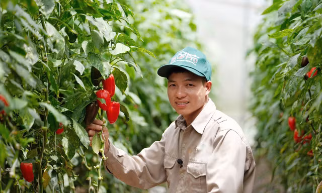 Bí quyết làm giàu của anh giám đốc HTX nông nghiệp 'tay ngang'