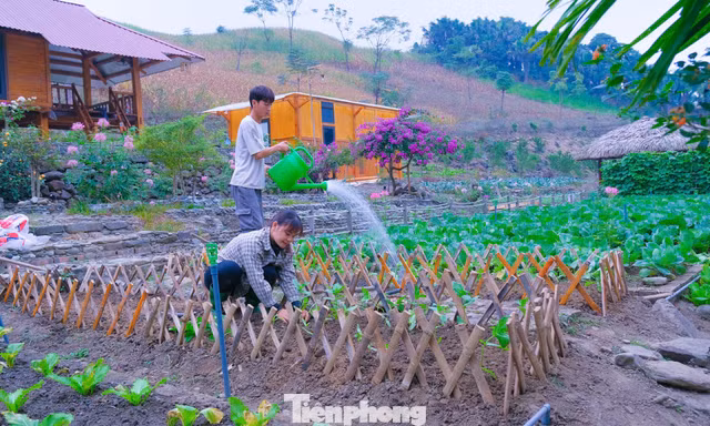 Chàng trai Mường được đề cử Thanh niên sống đẹp 2025, giúp thanh niên địa phương phát triển kinh tế