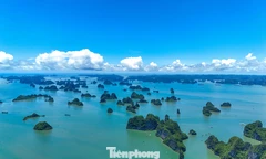 Cử tri Quảng Ninh đề xuất vịnh Hạ Long, Yên Tử cần có 'hành lang đặc thù'