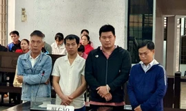 Dùng hóa chất bị cấm để sản xuất hơn 10 tấn giá đỗ