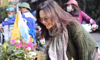 Rực rỡ chợ hoa phố Hoàng Hoa Thám ngày cận Tết