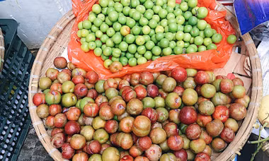 Mận đầu mùa chua giòn đắt đỏ vẫn nhanh hết hàng; iPhone 12, iPad, Macbook giảm giá mạnh