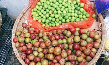 Mận đầu mùa chua giòn đắt đỏ vẫn nhanh hết hàng; iPhone 12, iPad, Macbook giảm giá mạnh