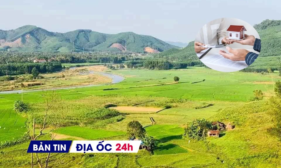 Có nên mua nhà đất sau Tết Nguyên đán? Quy trình giao dịch đất vỡ lòng