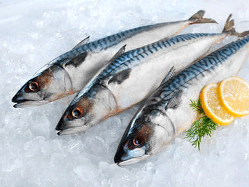 Ảnh minh họa: Internet