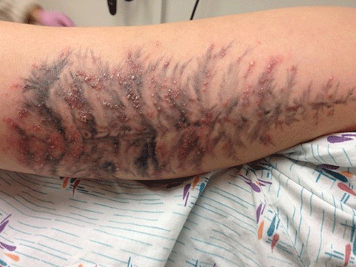 Ảnh minh họa: Internet