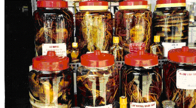 Ảnh minh họa: Internet