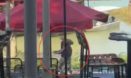 Khách uống cà phê chạy tán loạn khi đối tượng đàn ông cầm rựa rượt chém người