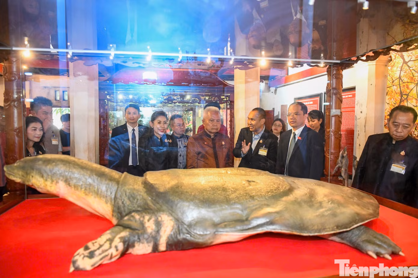 tp-br_thai-9.jpg