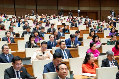 Các đại biểu Quốc hội tại Kỳ họp thứ 10, Quốc hội khóa XV.