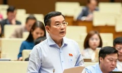 Chuyển đổi số không thể 'trăm hoa đua nở nhưng kín cổng cao tường'