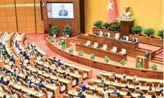 Công bố kết quả bầu cử: Bầu đủ 500 đại biểu Quốc hội khóa XVI