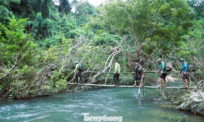 Những người giữ 'trái tim xanh' Pù Huống giữa đại ngàn hiểm trở