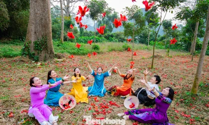 Loài hoa như đốm lửa nhỏ đẹp nao lòng ven sông Lam