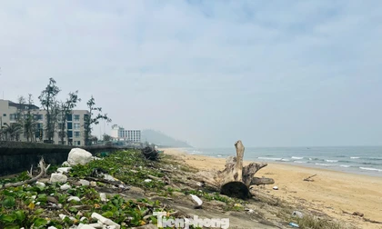 Bãi biển Thiên Cầm ngập rác 