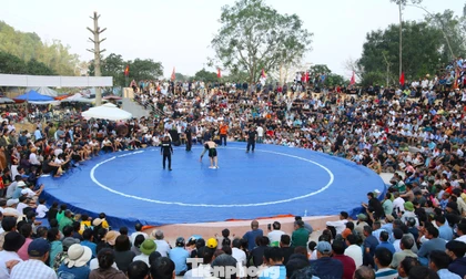 Xem trai làng phô diễn sức mạnh trên sới vật