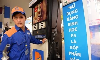 Tìm giải pháp chiến lược cho phát triển kinh tế xanh