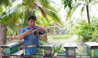 Bỏ nghề IT về quê nuôi ong, chàng trai Cần Thơ kiếm tiền tỷ mỗi năm