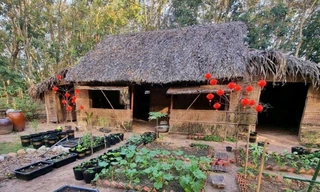 9x Đồng Nai giã từ phố thị, gom gỗ cũ dựng nhà giữa rừng cao su tìm lại tuổi thơ