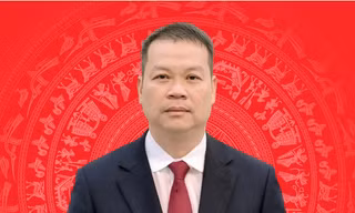 Chân dung tân Chủ tịch UBND TP. Đà Nẵng Nguyễn Mạnh Hùng