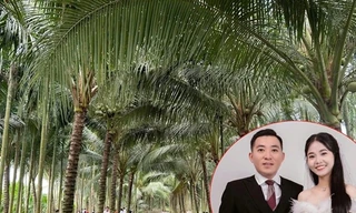 Chú rể Vĩnh Long làm 80 mâm cỗ ở vườn dừa 10.000m², mắc võng cho khách nghỉ ngơi