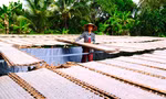 Làng bánh tráng 200 năm tất bật vào vụ Tết