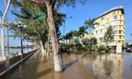 Bến Ninh Kiều lại chìm trong nước triều