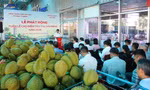 Cần Thơ 'giải cứu' sầu riêng