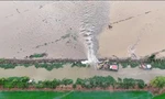 Vỡ đê bao ở Đồng Tháp nhấn chìm hàng trăm ha lúa