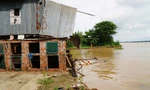 Lũ đạt đỉnh, Đồng Tháp liên tiếp xảy ra sạt lở bờ sông