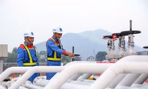 Chiến sự Trung Đông bùng nổ, doanh nghiệp xăng dầu họp khẩn bàn kế hoạch ứng phó 