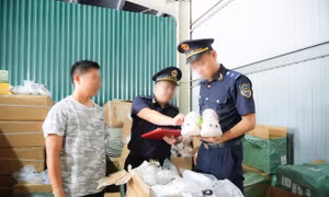 Hải quan phát hiện hơn 800.000 sản phẩm nghi xâm phạm sở hữu trí tuệ