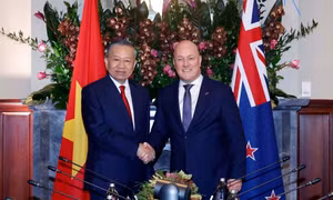 Phát triển toàn diện quan hệ giữa hai nước Việt Nam và New Zealand