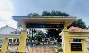 Làm rõ nhiều khoản thu của trường tiểu học khiến phụ huynh ‘choáng’