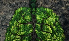 Các nhà khoa học vừa làm đảo lộn dòng thời gian tiến hóa của sự sống trên Trái Đất