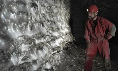 'Rùng mình' mạng nhện lớn nhất thế giới với 111.000 con 