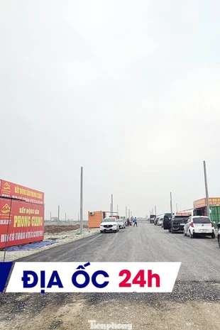 Địa ốc 24H: 'Cò đất' náo loạn các phiên đấu giá vùng quê; TPHCM mở bán hơn 3.000 căn NƠXH