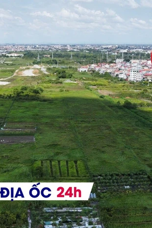 Địa ốc 24H: Vỡ mộng 'lướt sóng' chung cư cao cấp; Hà Nội ồ ạt đấu giá đất dịp cuối năm