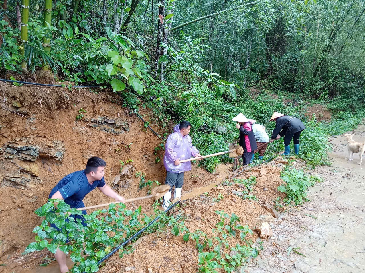 Đoàn viên thanh niên xã Văn Nho ra quân phát quang cây cối, khơi thông cống rãnh sau bão số 3 . 96696cc8-9c6c-46d1-a326-a8e160fa6d6f.jpg