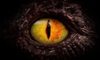 Căn bệnh hiếm gặp khiến bệnh nhân nhìn thấy mặt người như rồng