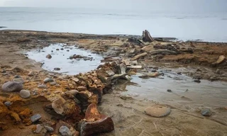 Phát hiện 'nghĩa địa' cá voi cổ đại dưới sông băng tan của Nga