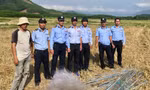 5 năm qua có 514 vụ săn bắt chim yến trái phép bị phát hiện.